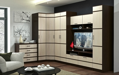 4690-bts-penal-sakura