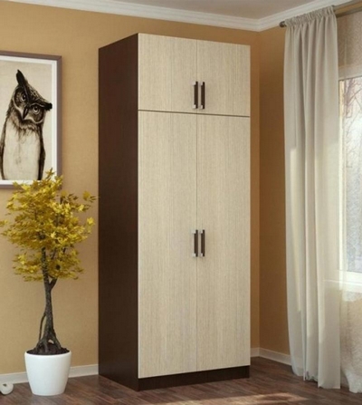 4690-bts-shkaf-2-stvorki-s-peregorodkoi-venge