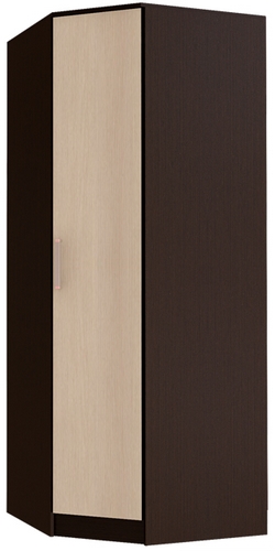 4690-bts-shkaf-uglovoy-fiesta