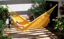 ����� Forro (����) �����