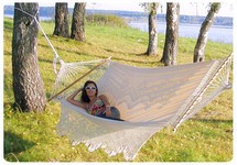 ����� Tulip (�����) �����