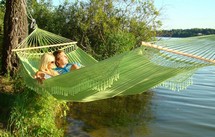 ����� Tulip (�����) ������