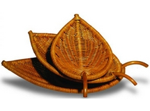 ������ �������� �������� �� ������������ ������� Leaf 21-03 (������)