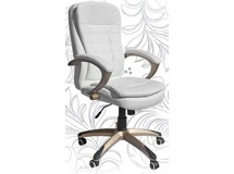 ������ ������ ������������ ������� 106B, �����