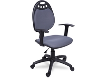 ������ ������ ���� (T new) ������ �����