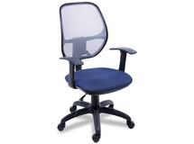 ������ ������ ���� (T new ����) ������ �����